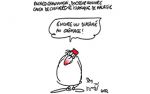 Caricature du vendredi 14 juillet 2017