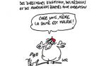 Caricature du samedi 15 juillet 2017