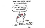Caricature du vendredi 21 juillet 2017