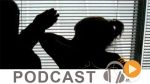    Journal Info 07h00 du jeudi 27 juillet 2017