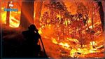 165 incendies de forêts ravagent 456 hectares depuis début juin