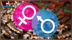 Appel à la garantie de la représentativité des femmes dans les instances constitutionnelles
