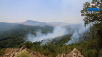 L'équipe du Radar au cœur des incendies à Aïn Draham