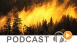 Revue de presse du lundi 07 Aout 2017