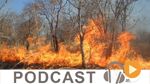 Journal Info 19h00 du lundi 7 août 2017