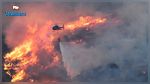 France : Un homme soupçonné d'avoir provoqué 17 incendies écroué