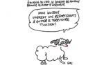 Caricature du Mercredi 30 Août 2017