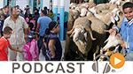 Micro Jawhara du jeudi 7 septembre 2017