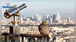 Insolite : Une mairie de Paris recrute des rapaces