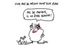 Caricature du mardi 10 Octobre 2017