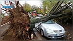 L'Europe centrale victime de la tempête Herwart : Au moins 7 morts