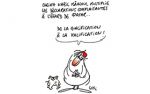 Caricature du mardi 14 novembre 2017