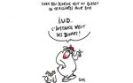 Caricature du vendredi 17 novembre 2017
