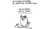 Caricature du vendredi 24 novembre 2017