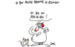 Caricature du vendredi 01 décembre 2017