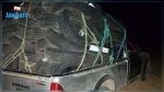 Gafsa : Saisie de pneus de contrebande d'une valeur de 84 MD