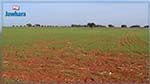 Bizerte : Plainte contre un haut cadre pour spoliation de terres agricoles