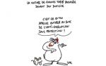 Caricature du mardi 12 Décembre 2017