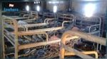 Incendie dans un foyer à Sidi Bouzid : Quatre jeunes filles auteures du délit 