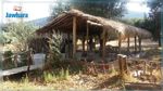 Jendouba : Réouverture du Centre de camping de Aïn Soltane  
