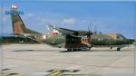 Crash d'un avion militaire en Algérie, plusieurs morts