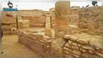 Découverte de 10 nouveaux sites archéologiques dans le sud tunisien 