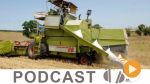 Business News du lundi 04 juin 2018