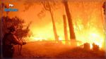 Californie : Plus de 3000 personnes évacuées à cause d'incendies