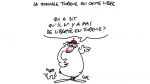 Caricature du dimanche 12 août 2018