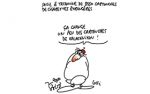 Caricature du Mercredi 24 Octobre 2018