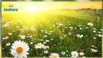 La météo de ce mardi 2 avril 2019
