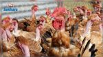 Risque d'épidémie de grippe aviaire en Europe 