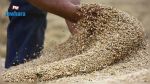Céréales: La récolte sera meilleure que celle de 2020