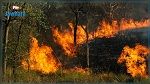 Enregistrement de 122 incendies durant les dernières 24 heures