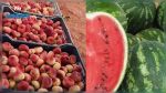 Fruits: Les exportations tunisiennes augmentent de 70% par rapport à 2020