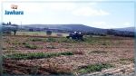 Récupération d'un lotissement agricole domanial de 46 hectares à la Manouba