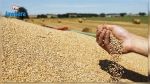 Agriculture : Détection de la maladie de la rouille dans plusieurs exploitations céréalières et appel à intervenir d’urgence 