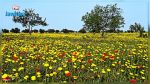 La météo de ce jeudi 7 avril 2022