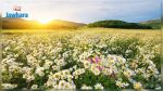 La météo de ce jeudi 12 mai 2022