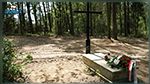 Pologne : découverte des restes de 8000 victimes de la terreur nazie