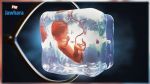 FIV : les enfants nés d’embryons congelés seraient plus exposés au cancer, selon une étude