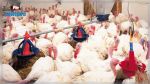 Nouvelles mesures destinées aux producteurs et distributeurs de la filière avicole
