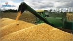 Baisse de 7% des quantités de céréales collectées jusqu'au 31 août 
