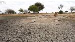 Les changements climatiques ont déjà affecté le quotidien de 84% de Tunisiens, selon une étude