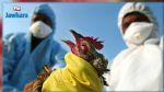 L’Europe connaît la grippe aviaire « la plus dévastatrice » de son histoire