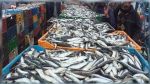 la balance commerciale des produits de la pêche excédentaire à 269,7 MD en octobre 2022