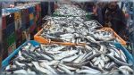 La balance commerciale des produits de  la pêche est excédentaire de 464,8 MD en 2022