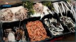 Le ministère du Commerce fixe la marge bénéficiaire maximale de vente des produits de la pêche en détail