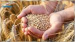 Céréales : 25 000 tonnes de blé dur américain pour faire face aux ruptures d'approvisionnement du marché en Tunisie 