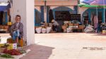 La plateforme belge anglophone, Luxury Brussels,  publie un article élogieux sur les charmes de Djerba en hiver
